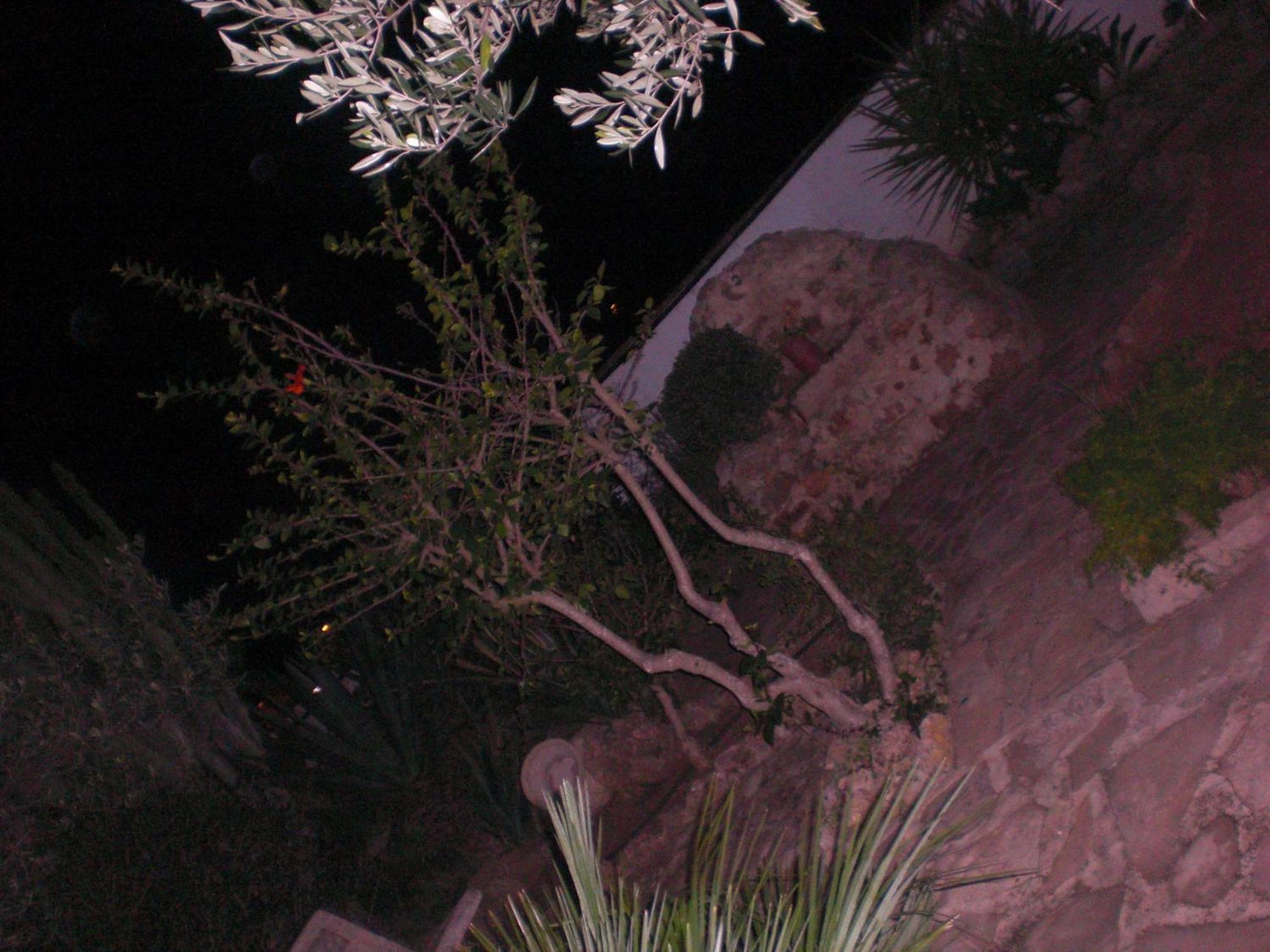 A Giummara Guest House Marsala Exterior photo